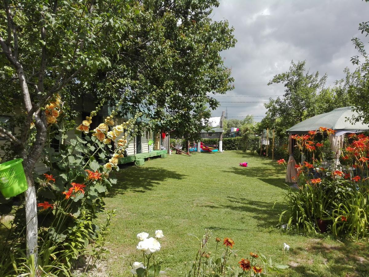 Camping Casuta Mihaela Crisan  Exterior photo